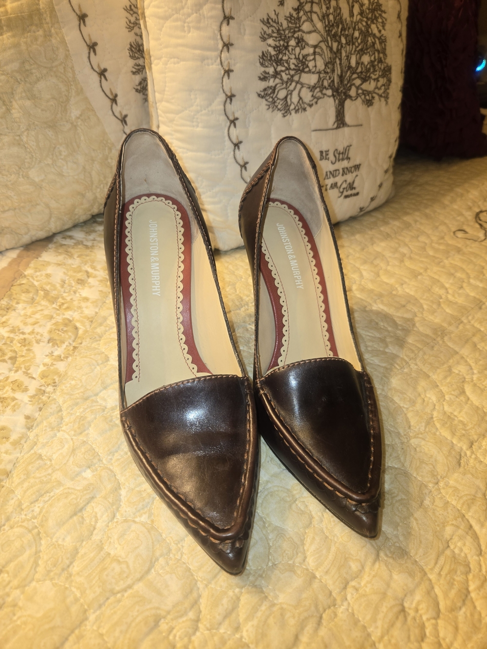 Johnston & Murphy Brown Leather Pointed-Toe Pumps
